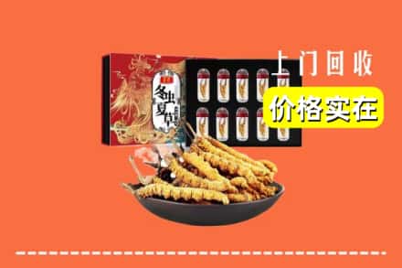 渭南市合阳回收冬虫夏草